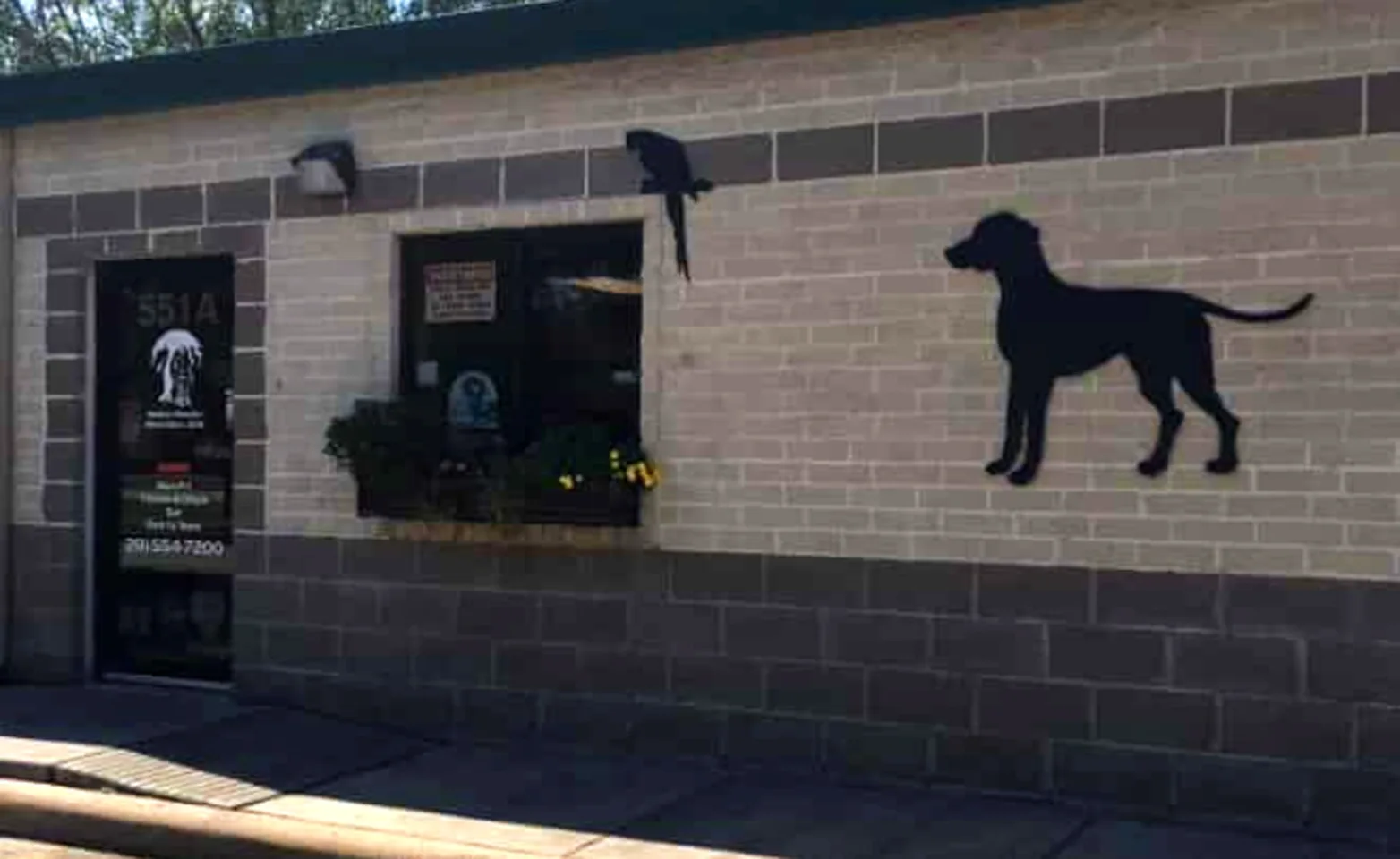 Exterior view of Animal Kingdom Pet Hospital